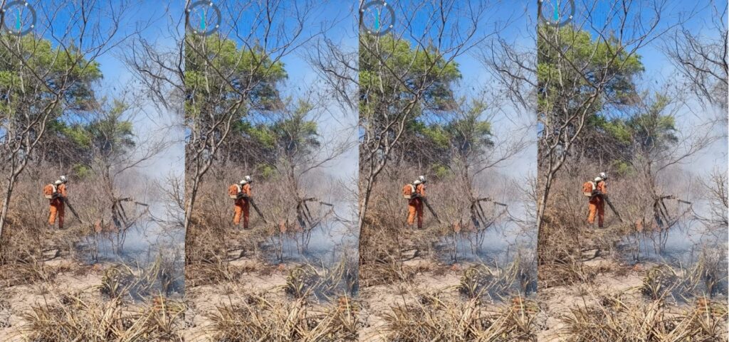 bahia-mobiliza-180-bombeiros-para-combater-incendios-florestais-em-11-municipios