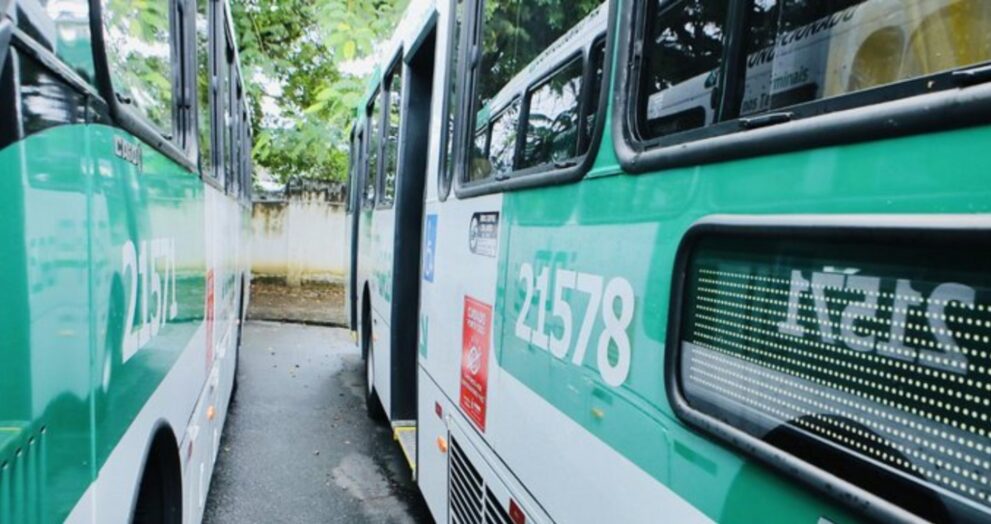 onibus-voltam-a-circular-no-final-de-linha-de-pernambues-nesta-quinta