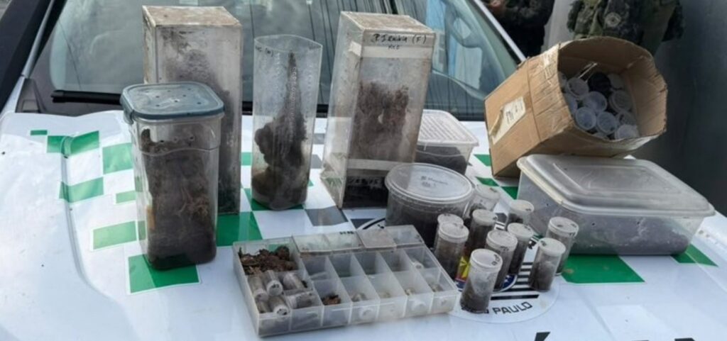 salvador-e-alvo-de-operacao-da-pf-contra-trafico-de-animais-silvestres