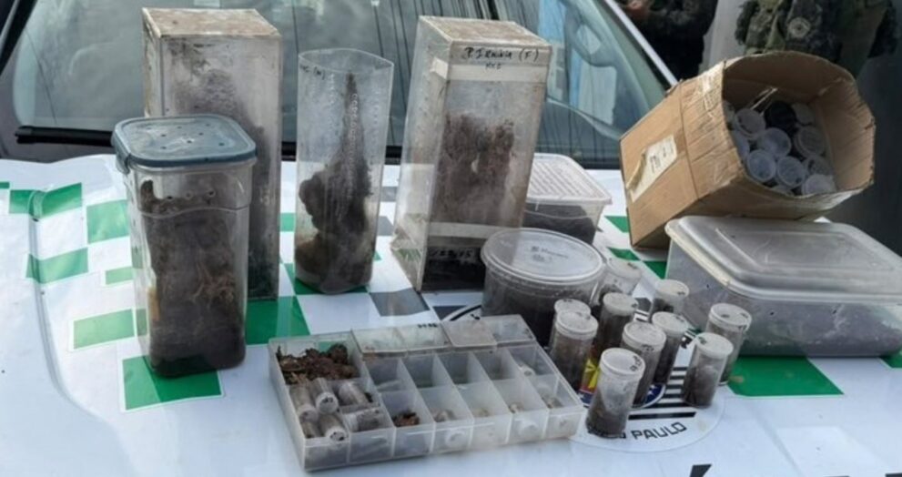 salvador-e-alvo-de-operacao-da-pf-contra-trafico-de-animais-silvestres