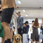 Estudo avalia uso de delivery por adultos