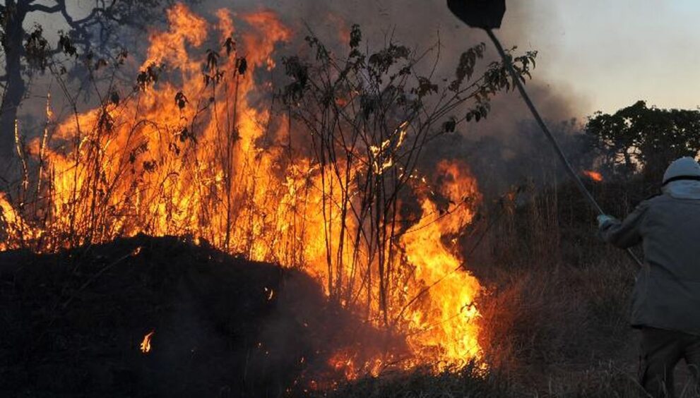 fumaca-de-incendios-encobre-regioes-de-manaus
