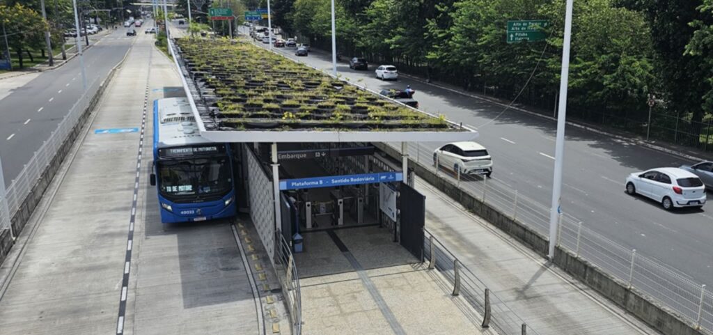idoso-e-preso-por-injuria-racial-contra-funcionarias-do-brt-no-itaigara:-escrava-petista
