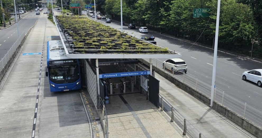idoso-e-preso-por-injuria-racial-contra-funcionarias-do-brt-no-itaigara:-escrava-petista