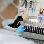 Anvisa autoriza testes em humanos da primeira vacina contra malária
