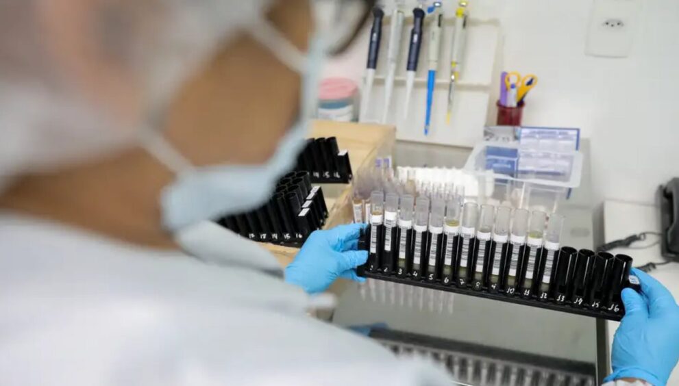 anvisa-autoriza-testes-em-humanos-da-primeira-vacina-contra-malaria