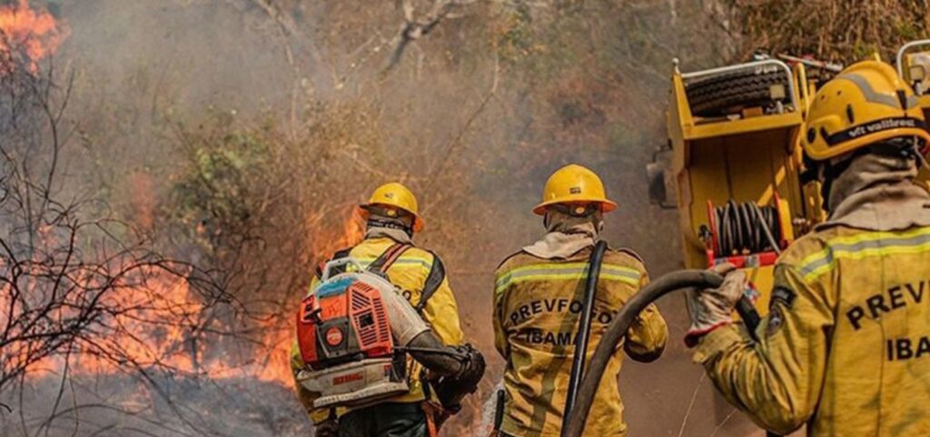 amazonas-registra-alta-de-271%-nos-focos-de-incendio-e-recebe-reforco-federal
