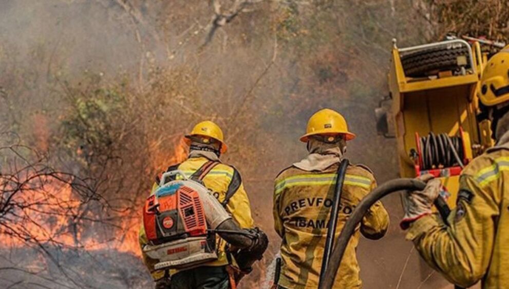 amazonas-registra-alta-de-271%-nos-focos-de-incendio-e-recebe-reforco-federal