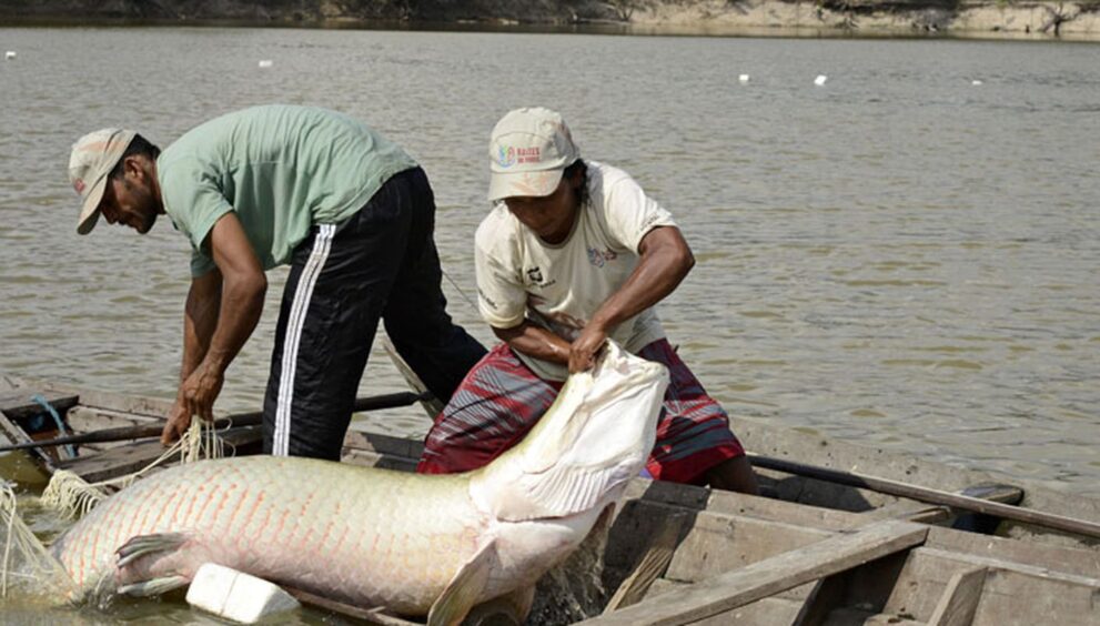 viva-maria-compartilha-experiencia-de-educomunicacao-na-amazonia