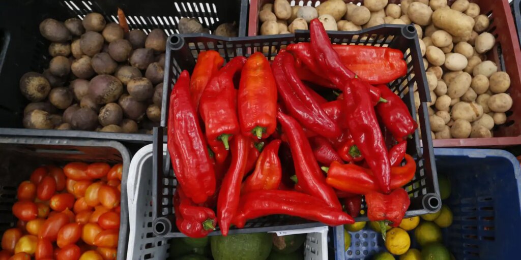 rio-tem-feiras-organicas-em-bairros-ate-18-de-outubro