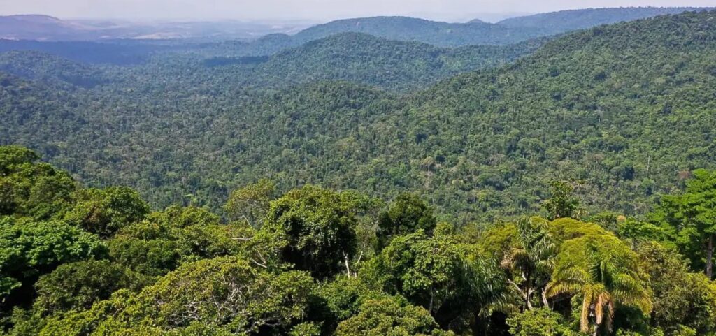 amazonia-registra-menor-desmatamento-desde-1985