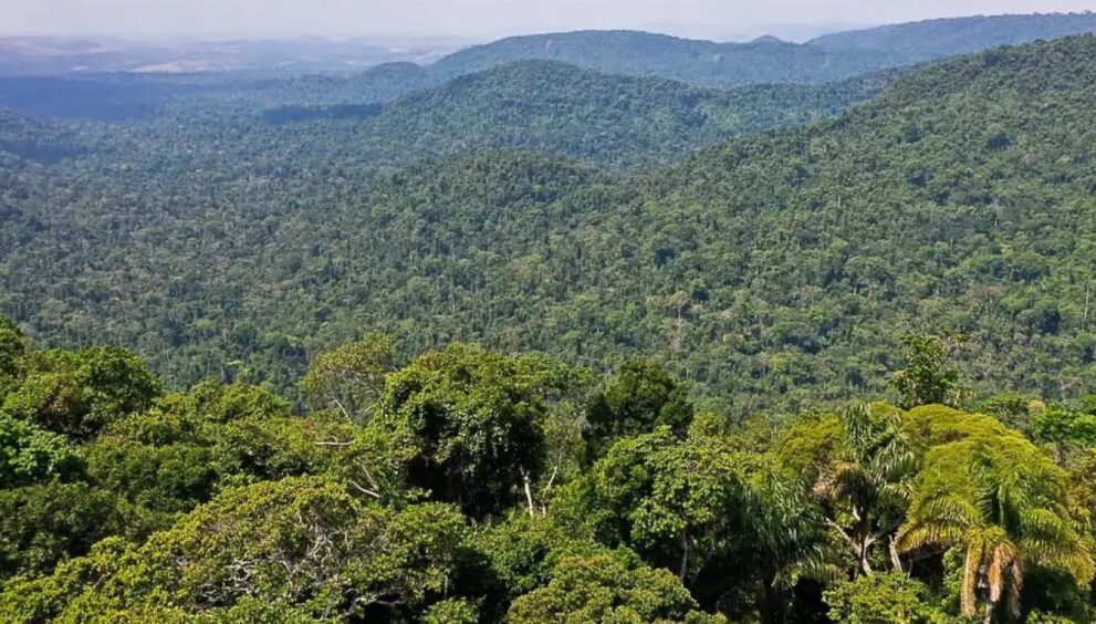 amazonia-registra-menor-desmatamento-desde-1985