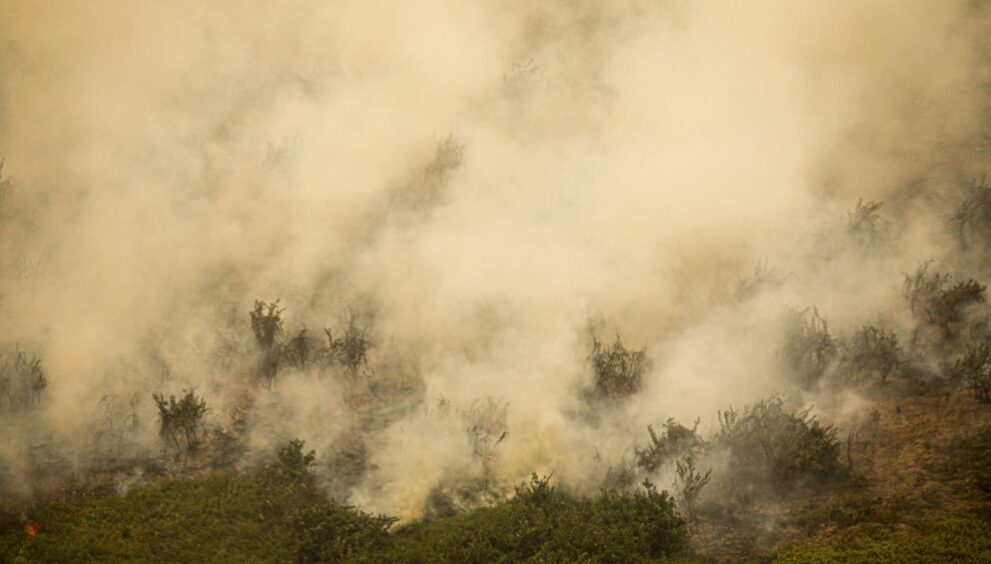 mg:-principal-foco-de-incendio-em-terra-indigena-maxakali-e-controlado