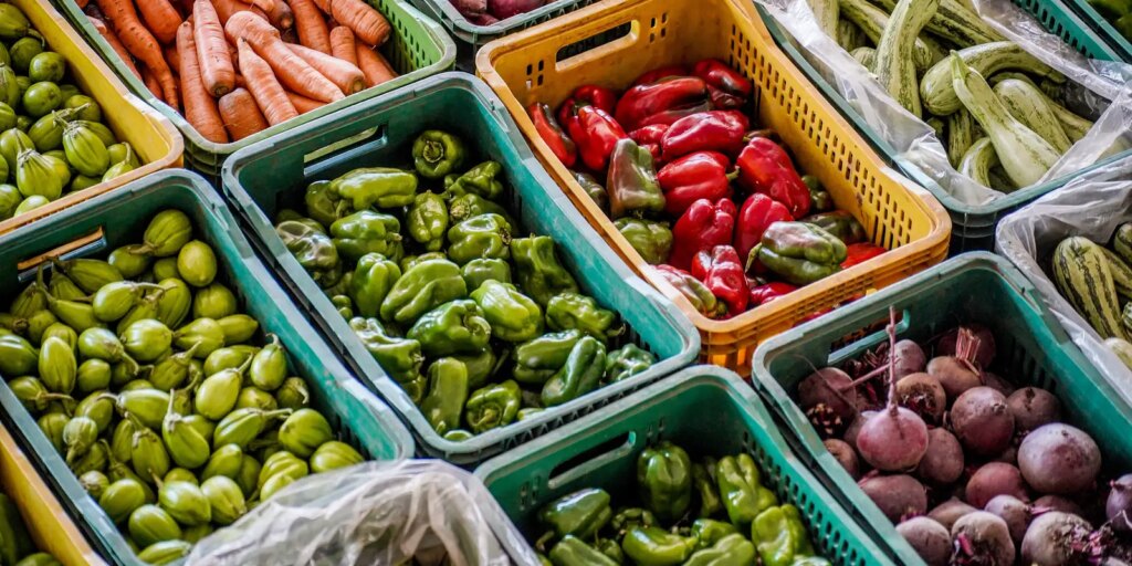 dia-mundial-da-alimentacao:-inovacao-pode-garantir-nutricao-no-futuro