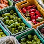 Dia Mundial da Alimentação: inovação pode garantir nutrição no futuro