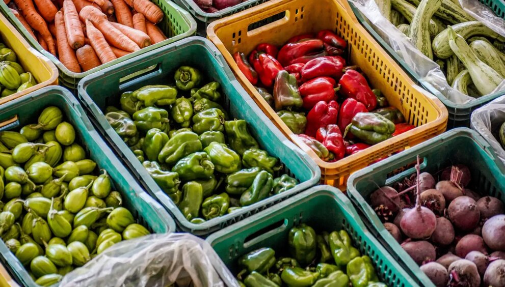 dia-mundial-da-alimentacao:-inovacao-pode-garantir-nutricao-no-futuro