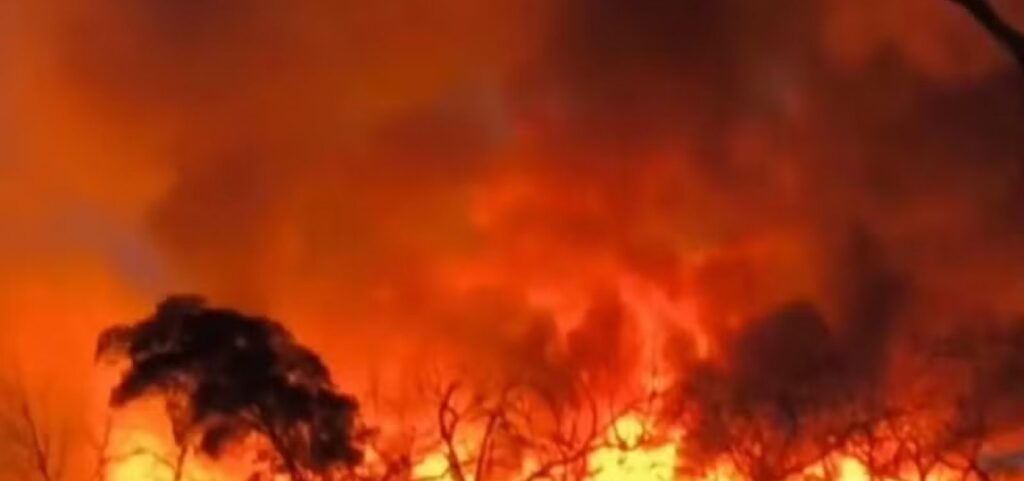 incendio-avanca-sobre-area-de-conservacao-no-norte-da-bahia