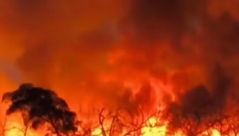 incendio-avanca-sobre-area-de-conservacao-no-norte-da-bahia