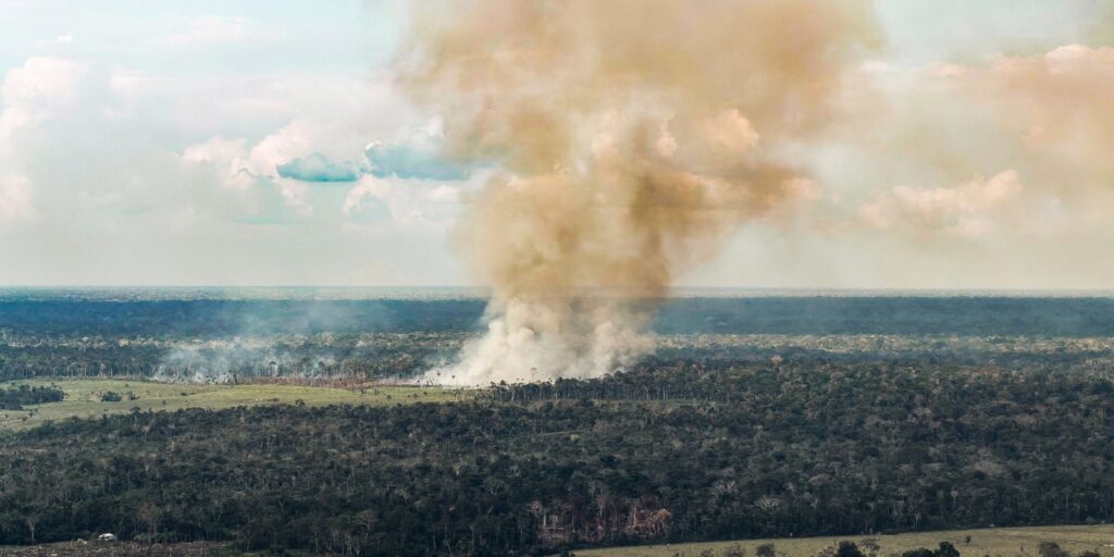 amazonas-decreta-emergencia-em-36-municipios-por-causa-de-queimadas