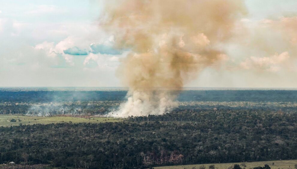 amazonas-decreta-emergencia-em-36-municipios-por-causa-de-queimadas