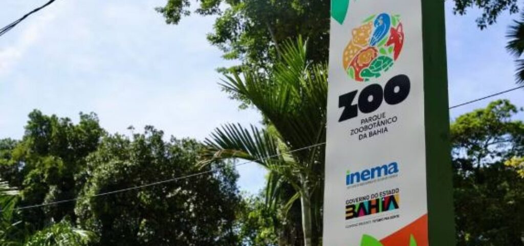 inscricoes-para-passeio-noturno-no-zoologico-de-salvador-abrem-nesta-terca-feira