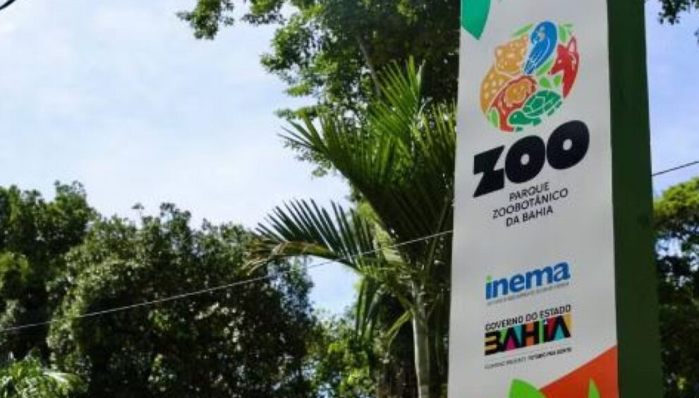 inscricoes-para-passeio-noturno-no-zoologico-de-salvador-abrem-nesta-terca-feira