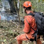 Foco de doença de Newcastle é confirmado em granja de Santa Catarina