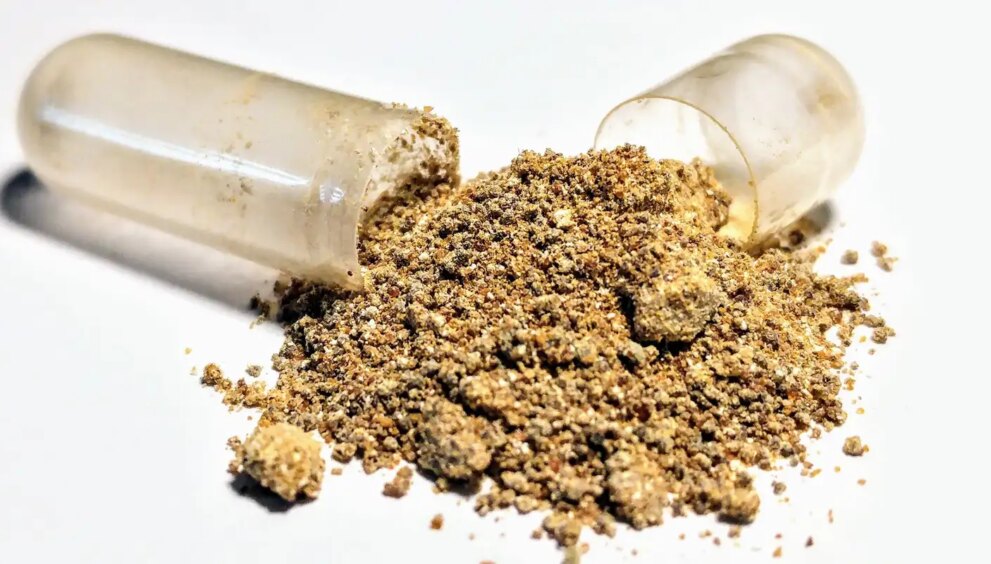 anvisa:-suplemento-alimentar-ashwagandha-nao-tem-registro-no-brasil