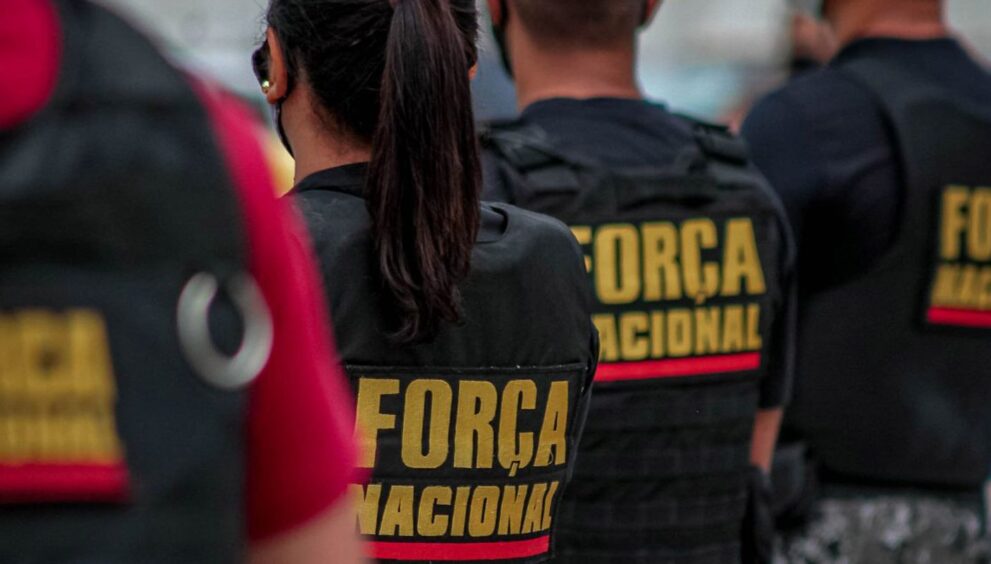 forca-nacional-e-pf-vao-combater-e-investigar-incendios-no-para