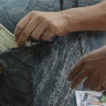 MPT registrou quase 2 mil denúncias de assédio eleitoral no trabalho