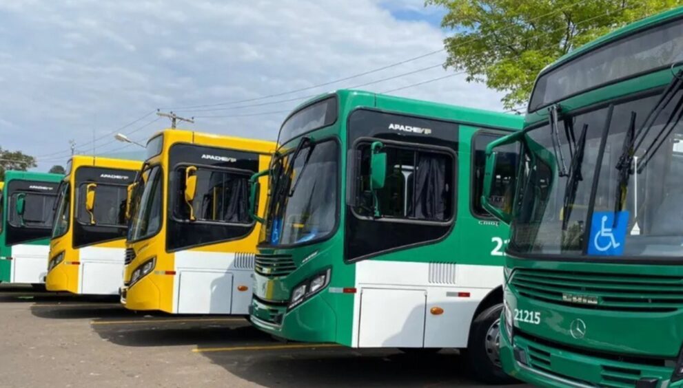 prefeitura-de-salvador-autorizou-reducao-de-viagens-de-onibus-no-dia-da-eleicao,-aponta-oficio-enviado-ao-stf