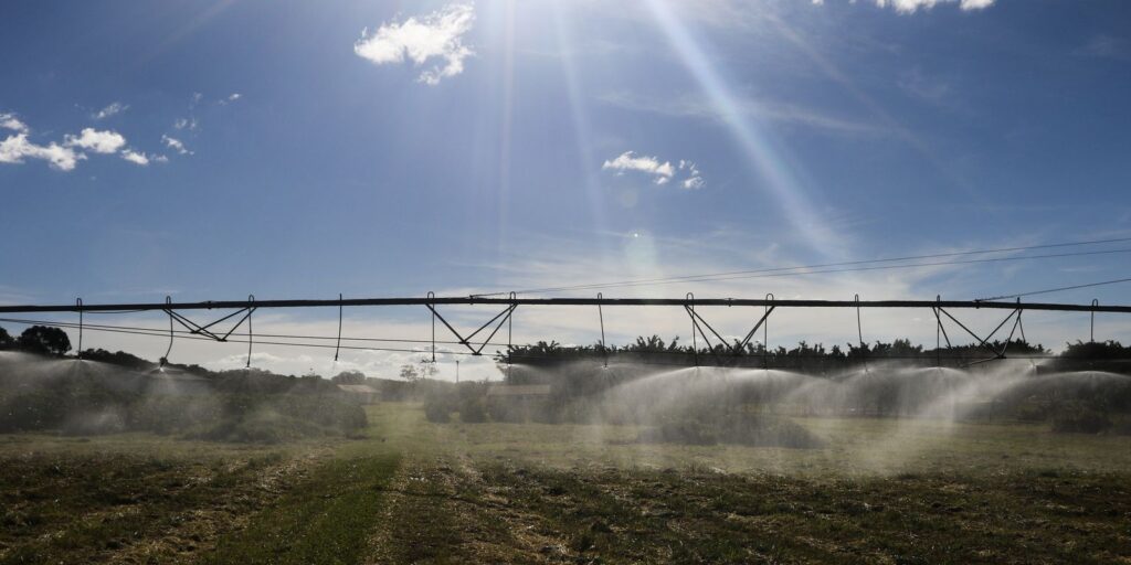 ibge-lanca-plataforma-para-auxiliar-censo-agropecuario-e-florestal