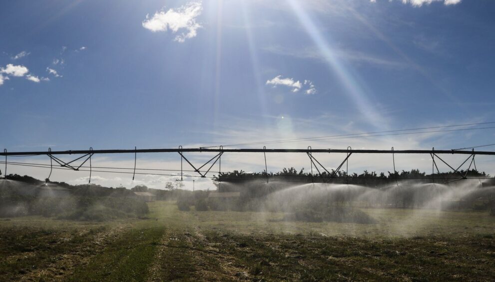 ibge-lanca-plataforma-para-auxiliar-censo-agropecuario-e-florestal